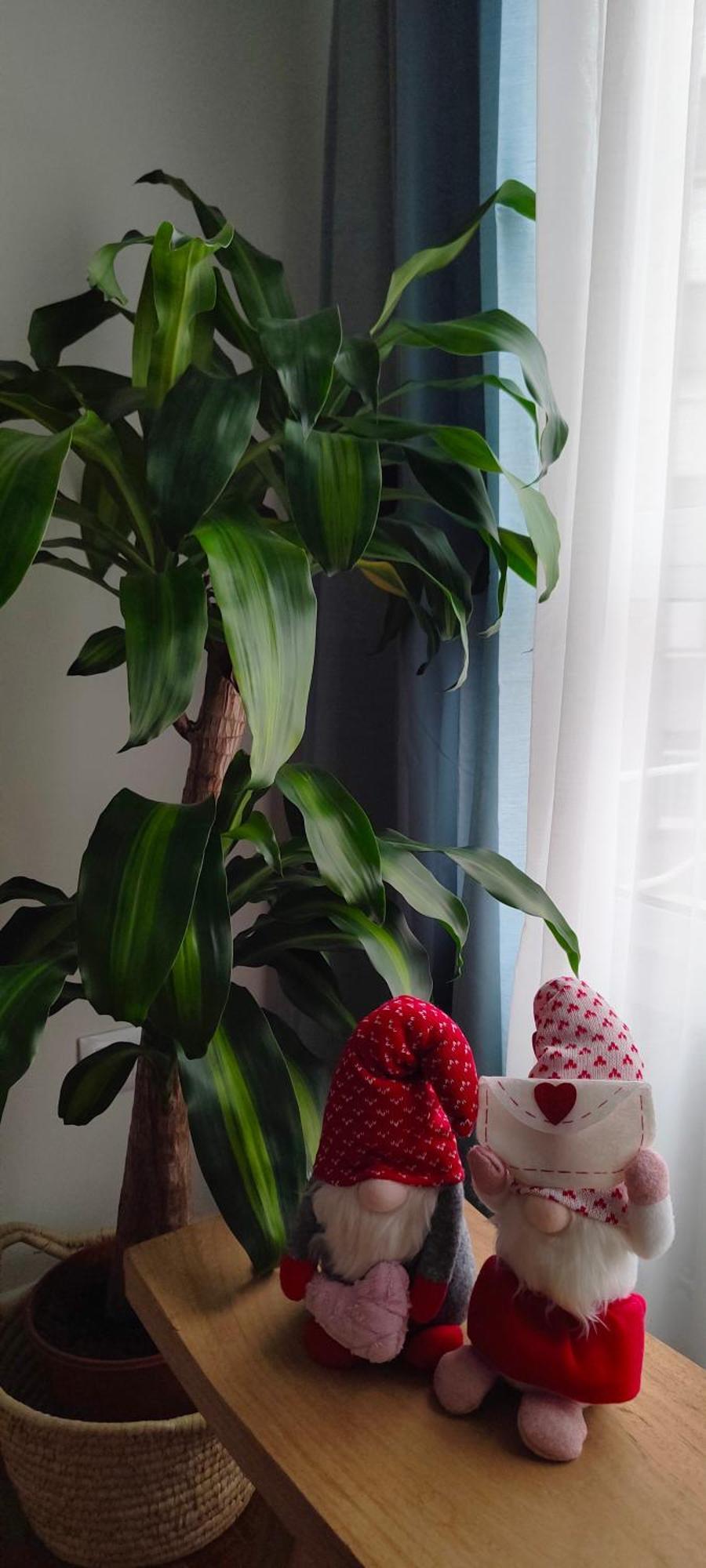 Oviedo Centro- Parking Gratuito Apartment ภายนอก รูปภาพ